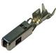 Aptiv (formerly Delphi) 13671254-L