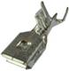 Aptiv (formerly Delphi) 13843152
