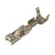 Aptiv (formerly Delphi) 15304710-L