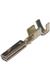 Aptiv (formerly Delphi) 15343974