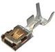 Aptiv (formerly Delphi) 15455571