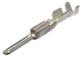 Aptiv (formerly Delphi) 15520256