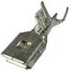 Aptiv (formerly Delphi) 15548851