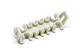 Aptiv (formerly Delphi) 15359004