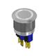 E-Switch PV7F2Y0SS-344-M13-2HEX