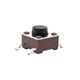 E-Switch TL3304AF160QG