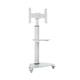 Tripp Lite DMCS3770SG75W