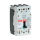 Eaton Electrical EGS3100FFG