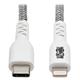 Tripp Lite M102-010-HD