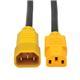 Tripp Lite P005-006-YW