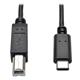 Tripp Lite U040-006