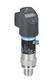 Endress+Hauser PTP31B-AA4U1HGBWWJ