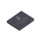 Everspin Technologies EM016LXQBDH13CS2T