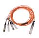 Coherent FCBN510QE2C03