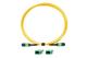 Fluke Networks TRC-SM-VERIFY-MPO24P