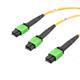L-Com MPM24212SMR-CA-10