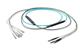 Pasternack PE3FCA295-25M