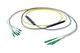 Pasternack PE3FCA316-30M