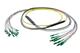 Pasternack PE3FCA456-5M