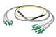 Pasternack PE3FCA460-10M