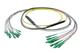 Pasternack PE3FCA464-5M