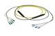 Pasternack PE3FCA549-10M