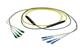 Pasternack PE3FCA550-10M