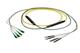 Pasternack PE3FCA568-5M