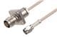 Pasternack PE3W09723-6
