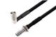 Pasternack PE3W17871-50CM