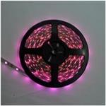 Inspired LED NB-RGB-CT 扩大的图像