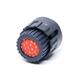 ITT Cannon TN6S16-0019P2L