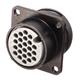 JAE Electronics JL05-2A24-28SC-F0-RK