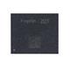 Kingston C256K81CXC-090AA