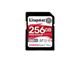 Kingston SDR2V6/256GB