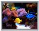 KYOCERA Display T-55787GD104J-LW-ALN