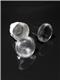 Ledil CP18724_YASMEEN-50-M-C2