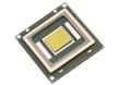 SBT-90 White Big Chip LEDs™