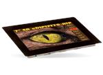 DISPLAY VISIONS eDIP TFT Displays