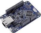 NXP Semiconductors FRDM-K64F Freedom 开发平台