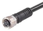 Molex Brad M8和M12电缆组件