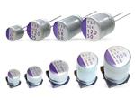 Panasonic Electronic Components 聚合物电容器
