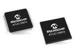 Microchip Technology D系列AT32UC3 AVR 32位MCU