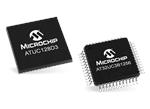 Microchip Technology B系列AT32UC3 AVR 32位MCU