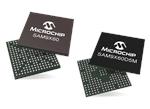 Microchip Technology SAM9X60低功耗微处理器