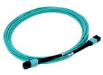 Megladon Manufacturing MPO/MTP® Singlemode & Multimode Fiber Patch Cables