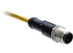 Amphenol LTW M12 D-Code圆形公制连接器