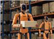 Humanoid Robots