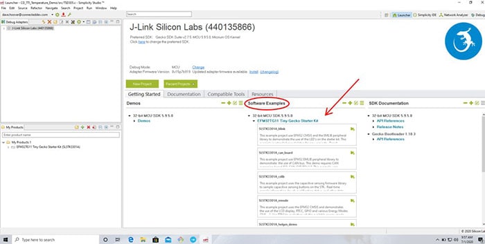 Software Examples section.