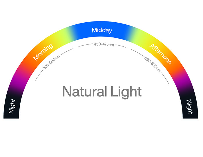 The image shows wavelength as a function of time of day.